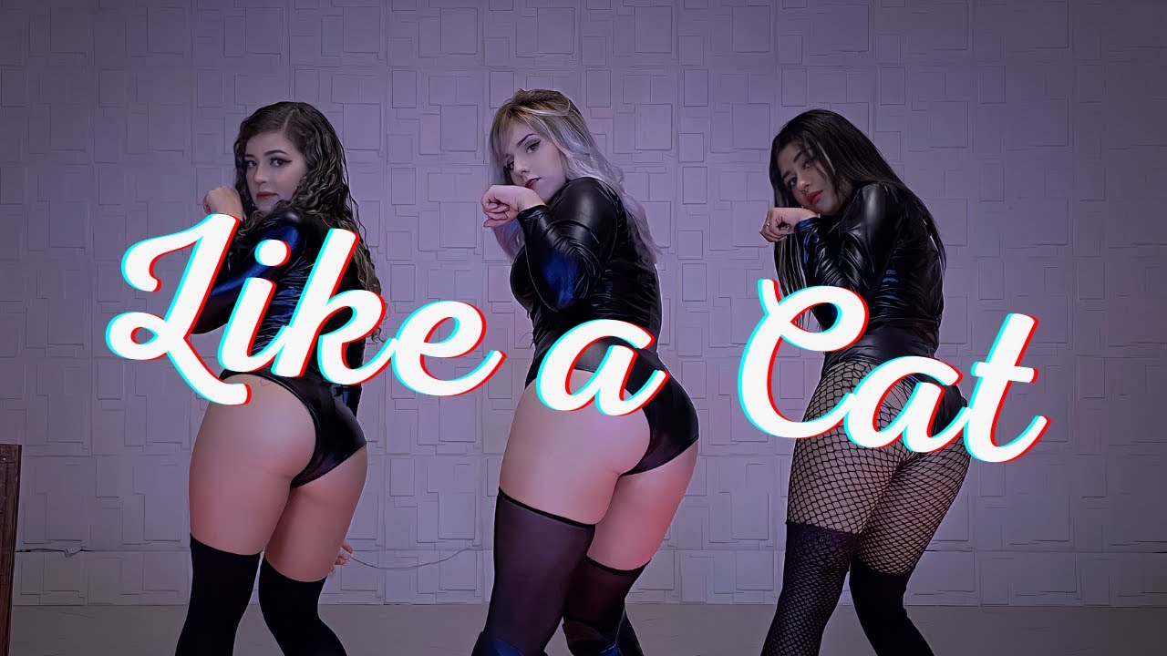 AOA Like a Cat dance cover by MAJORIS 사뿐사뿐 안무영상