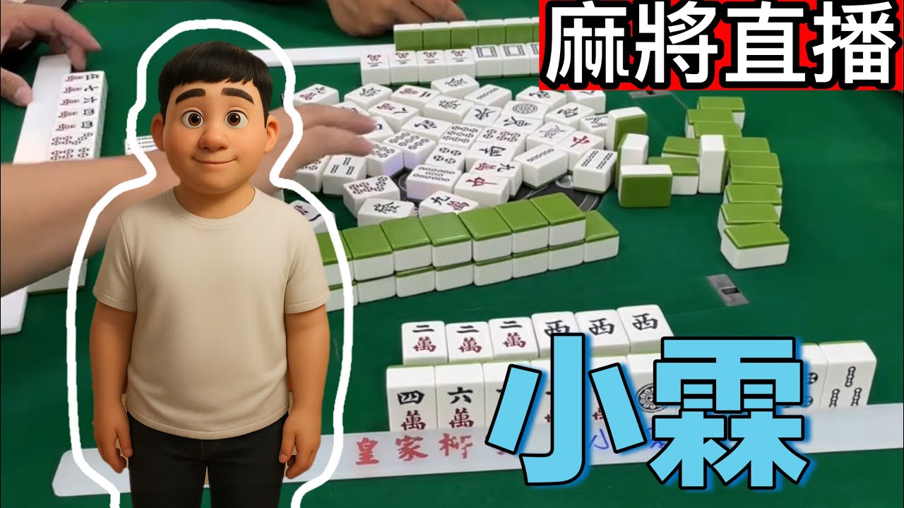 台灣麻將24小時直播/皇家柳丁麻將日常20260220/直播視角-小霖