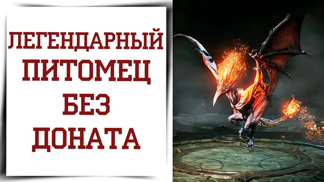 Как создать легендарного фамилиара в Diablo Immortal