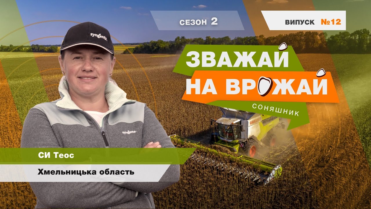 #Зважай_на_врожай. Збір урожаю гібрида соняшнику СИ Теос, Хмельницька обл.