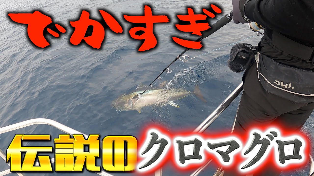 クロマグロ今年初釣行で出た！！！【キャスティング】