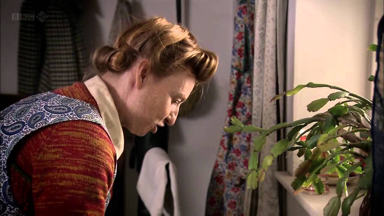 soapwort  bbc wartime farm s01e04