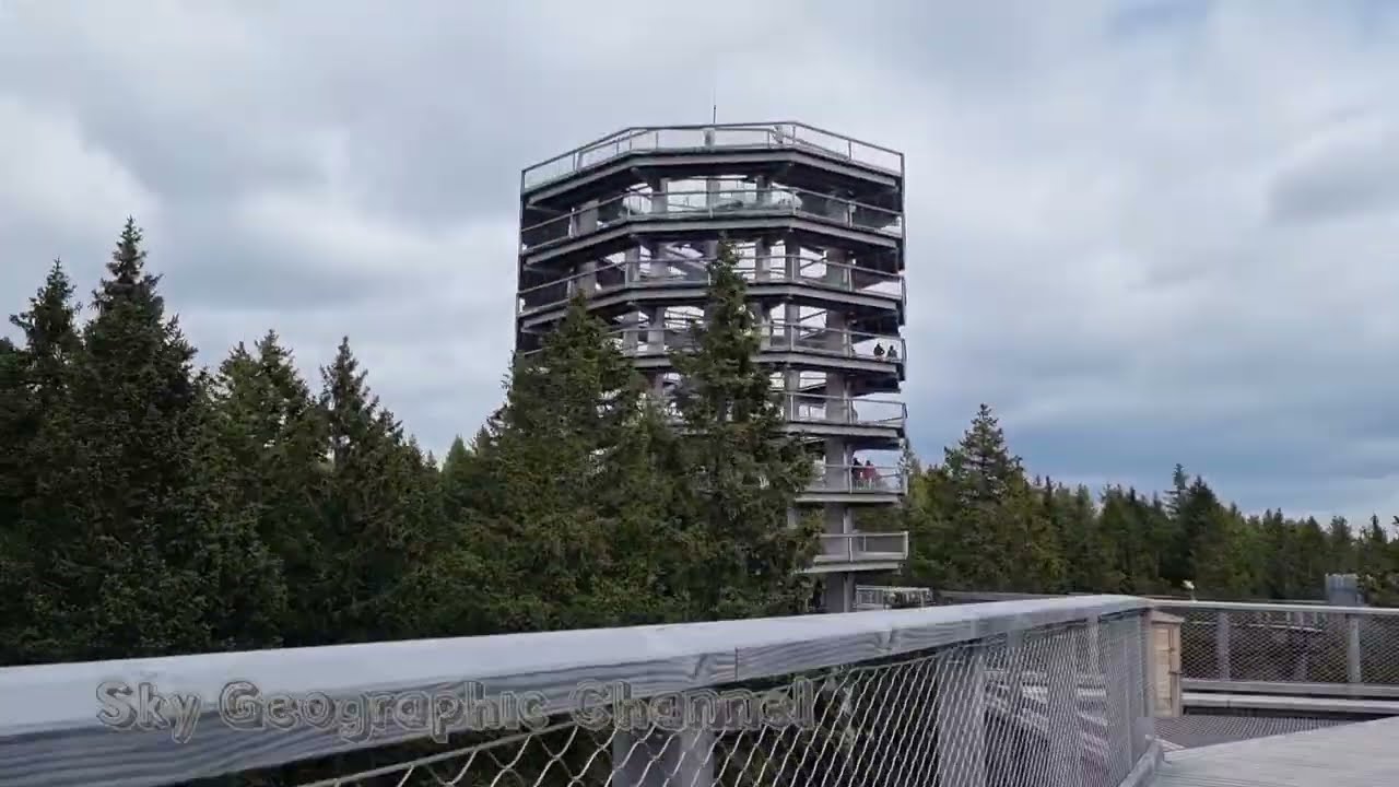 treetop walk pohorje   pohor rogla  things to do in slovenia