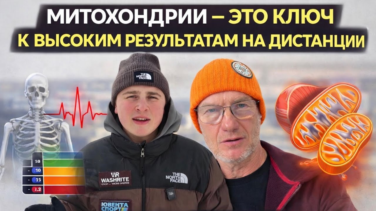 Как прокачать митохондрии? Юрий Строфилов об эффективных тренировках и методиках / Иван Докукин