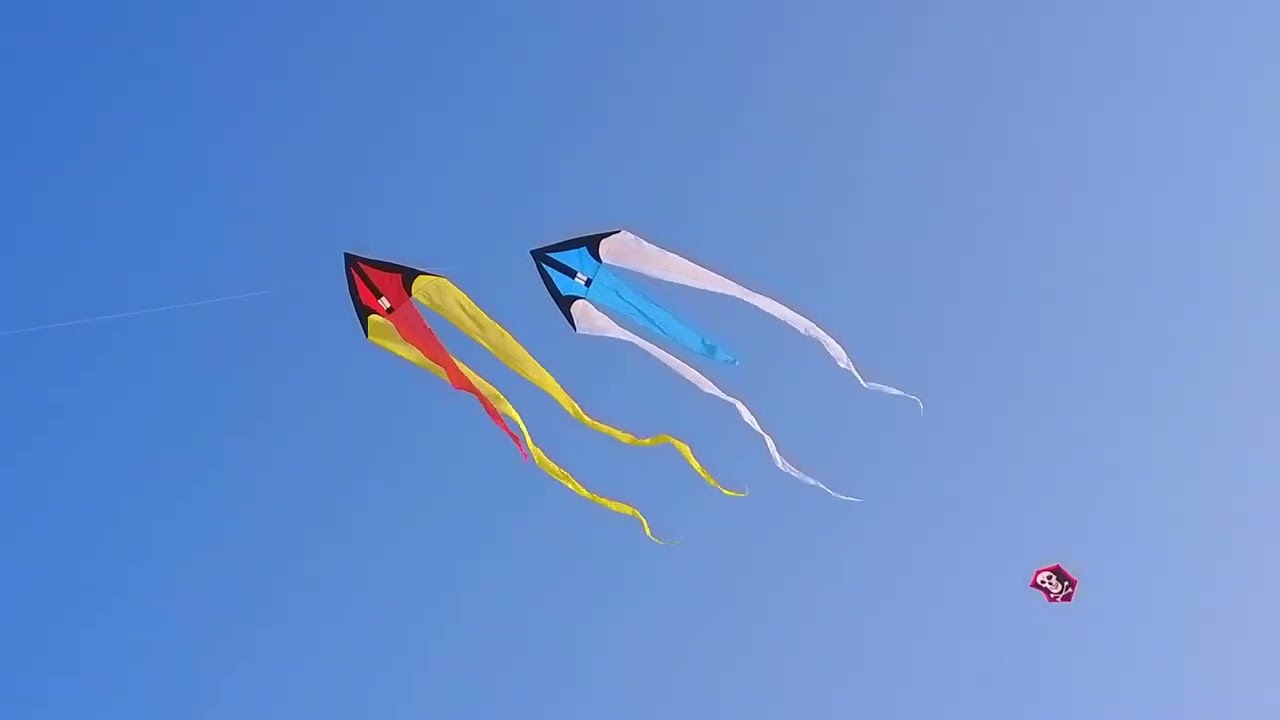 Relax spring kite fly....
