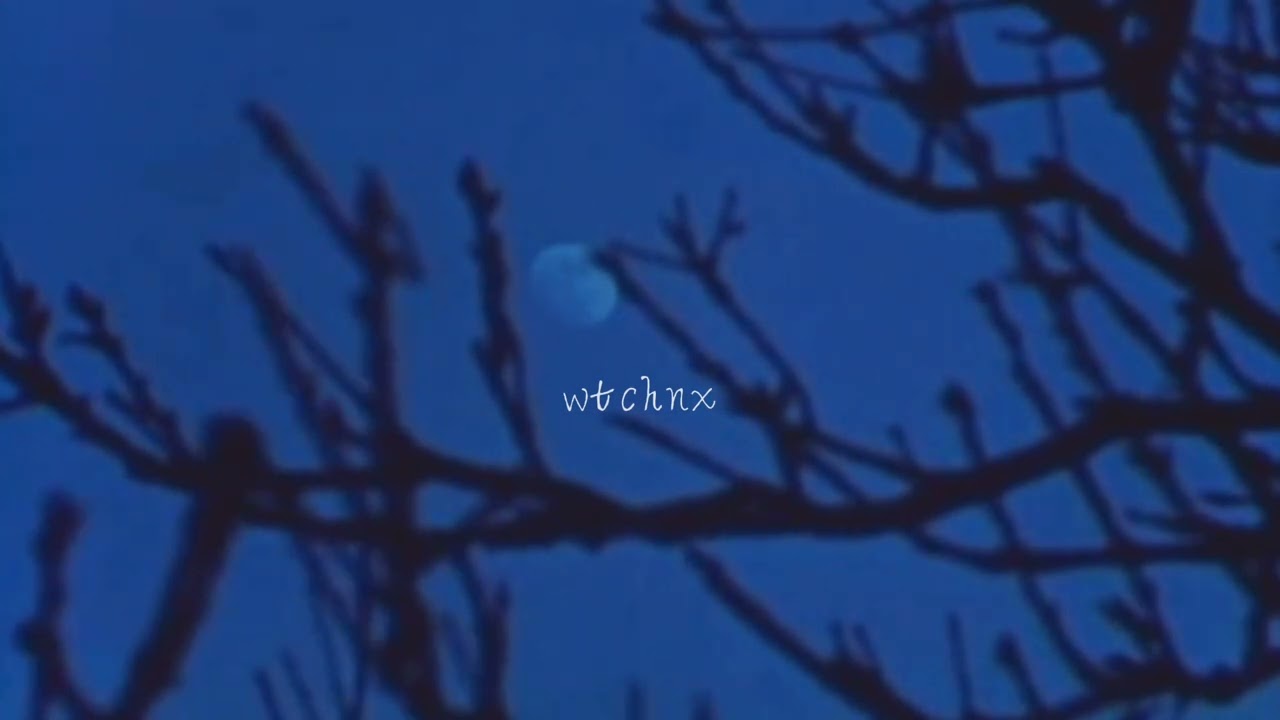 Plums - Room Song (slowed + reverb)