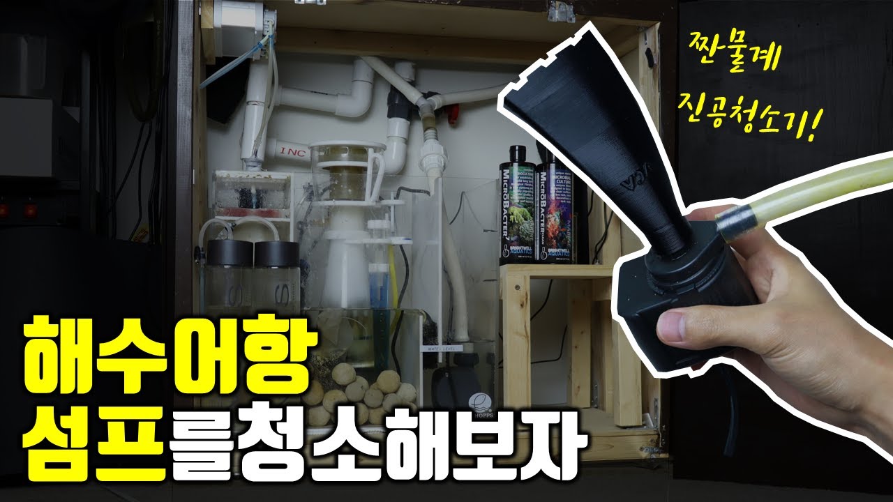 해수어항 하단섬프를 청소해보자 ft.슬러지