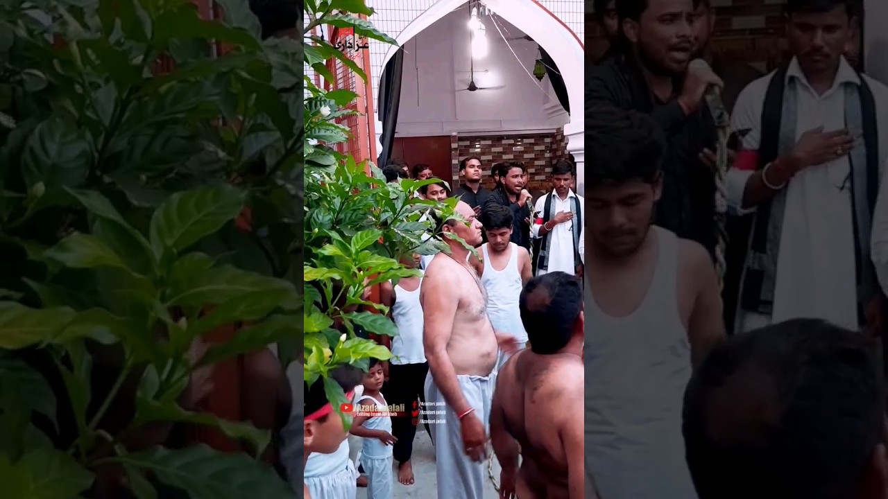 आगया मदीना.AZADARI JALALI 20TH SAFAR. NOHA AMIR HASAN AMEER.#noha #shotrs #viral