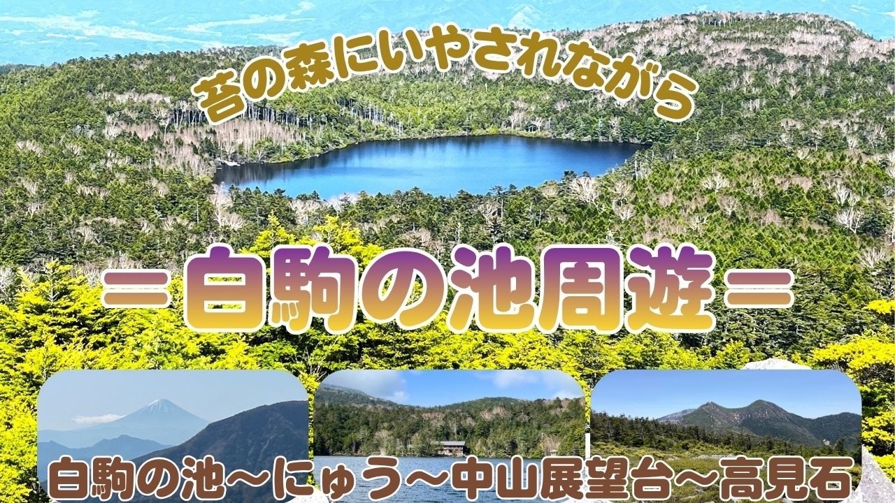 《白駒の池周遊》「麦草峠～白駒の池～にゅう～高見石周回」にゅう・中山展望台の絶景に！！。