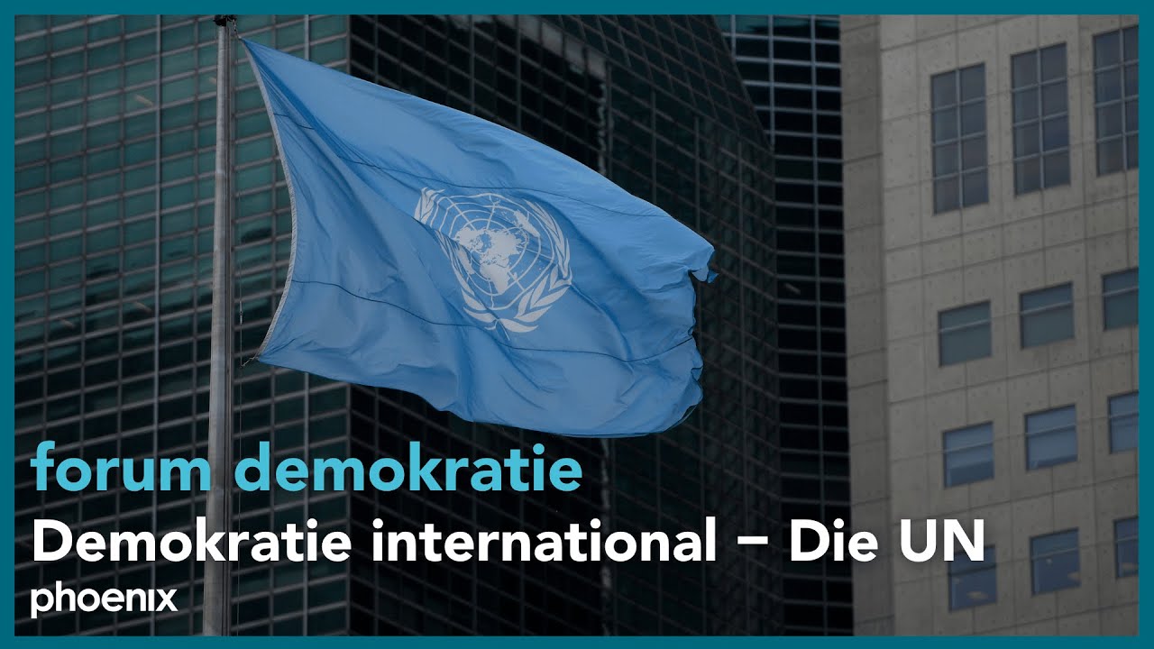 Demokratie international – Die UN | #forumdemokratie