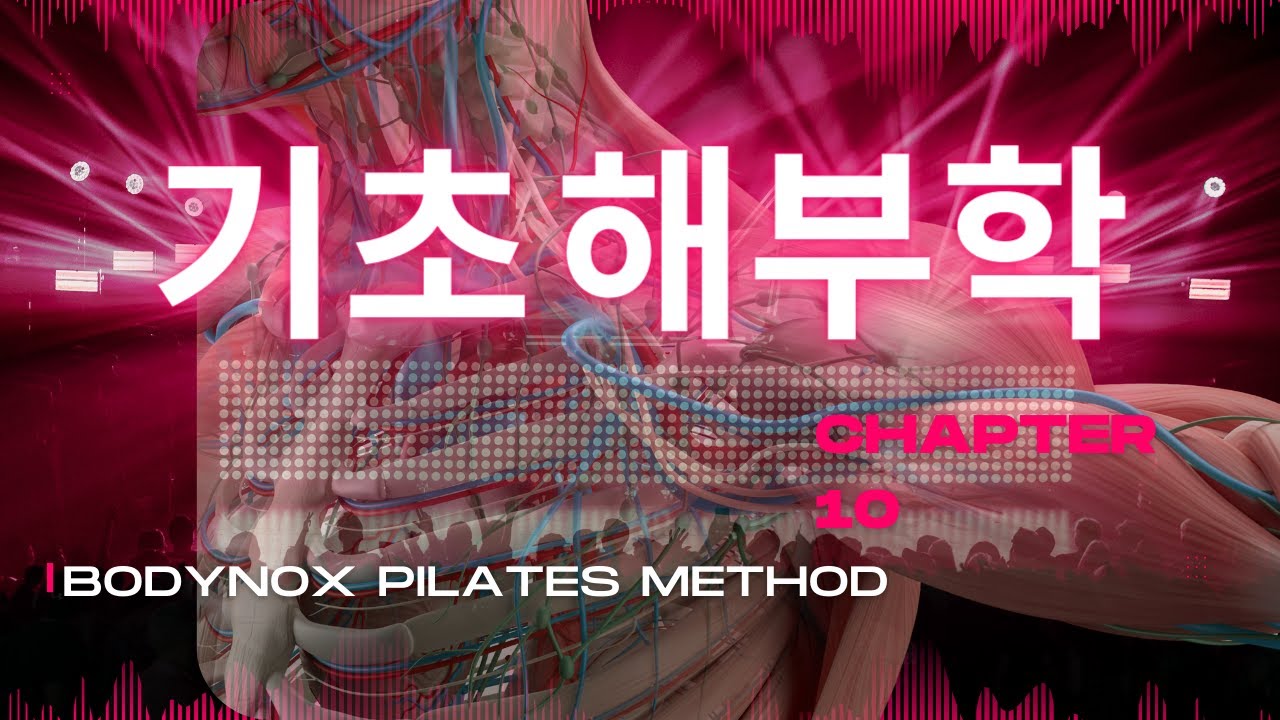 BPM Anatomy Series ( Korea): 10.필라테스 파워하우스 : 완벽 해부