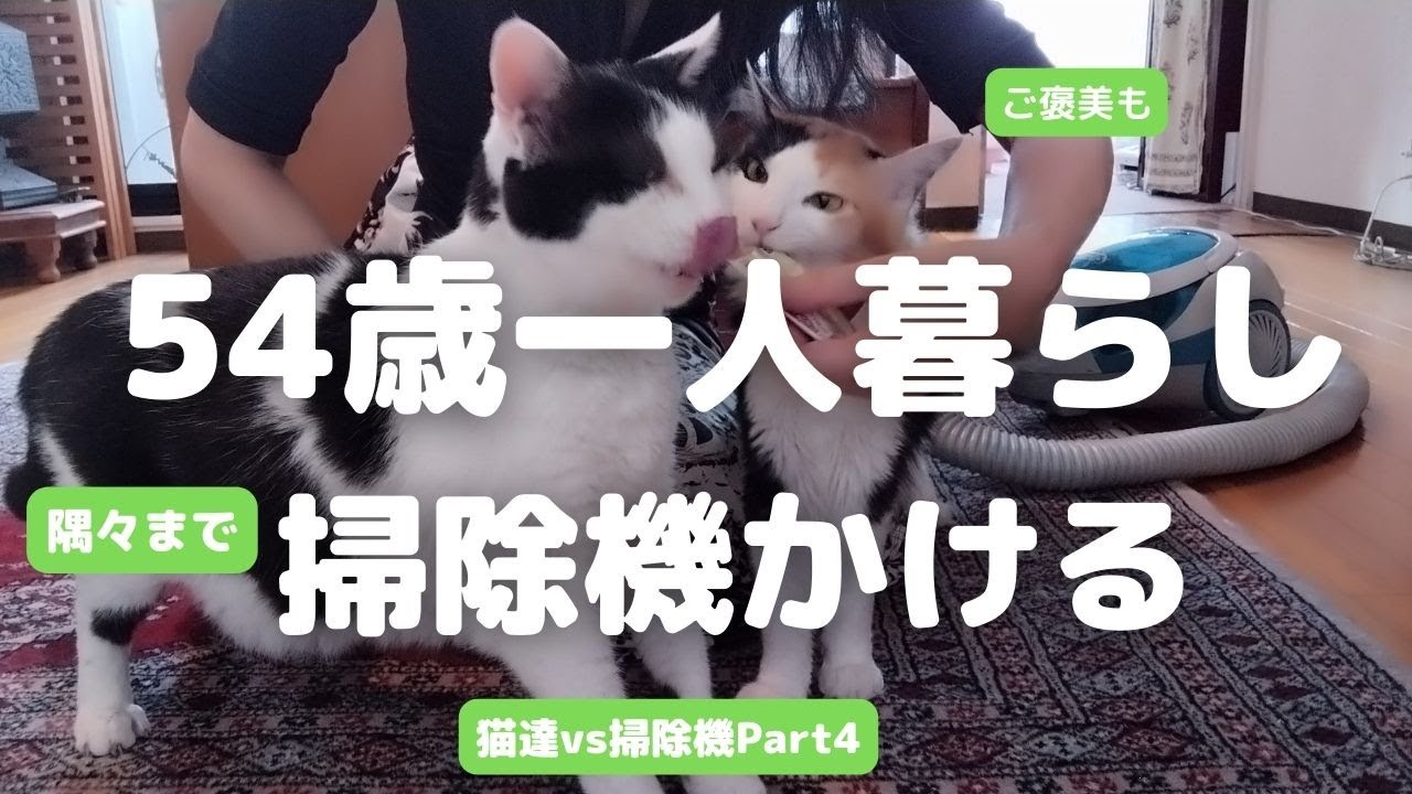 #26 50代女性一人暮らし掃除機を隅々まで掛ける。ソウジキもコワくない！ミニーと恐がりお兄ちゃん猫達今日はどうなる？