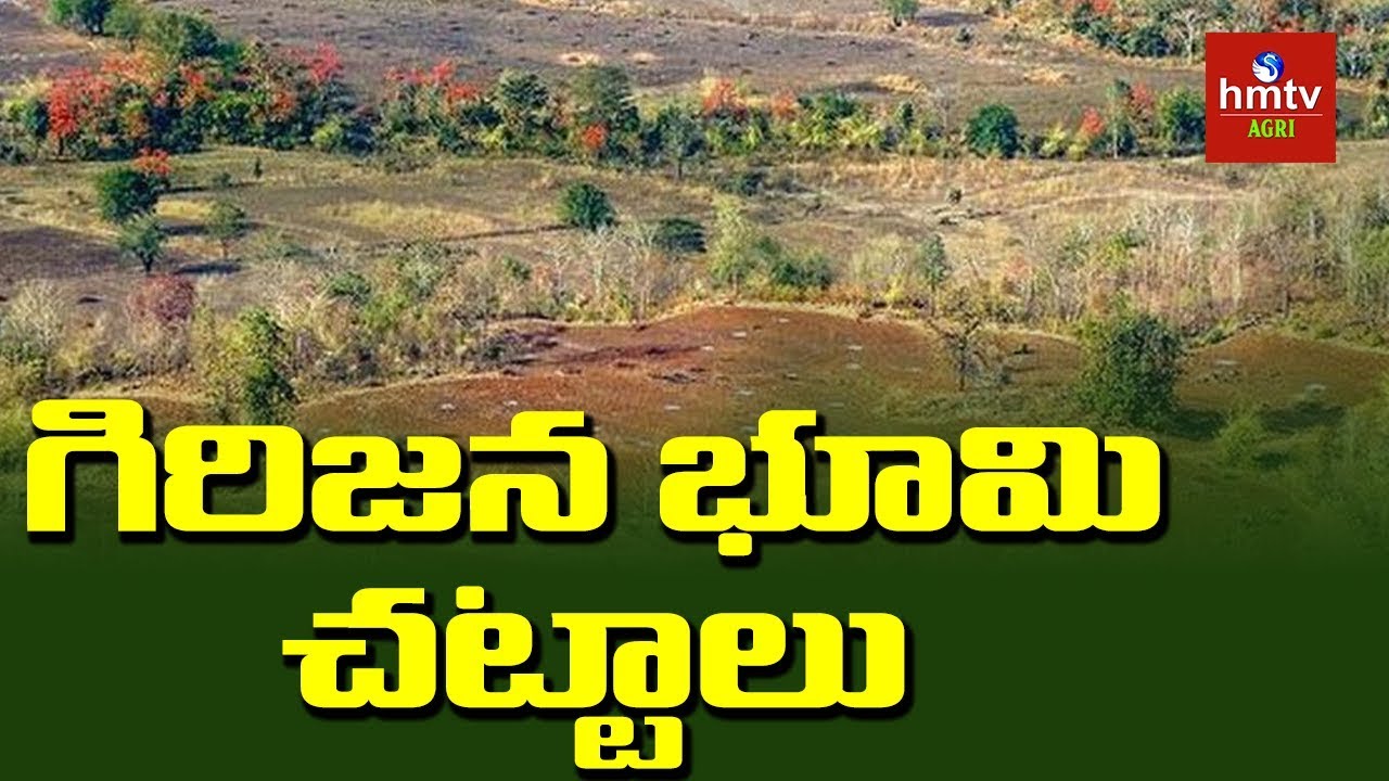 గిరిజనులు తమ భూమి సమస్యలనుండి బయటపడటం ఎలా ? | Land Rights of Tribals | Sunil Kumar | hmtv Agri