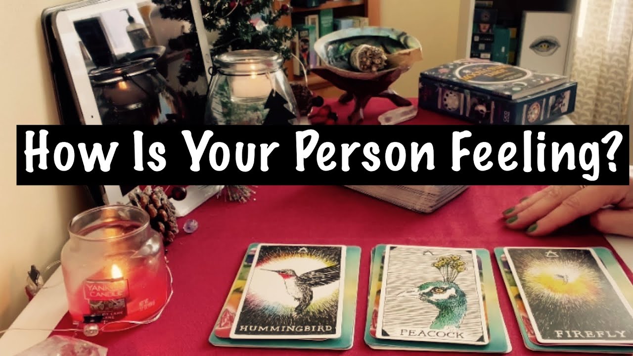 Pick A Card. How Is Your Person Feeling? Timeless Love Reading. 💖