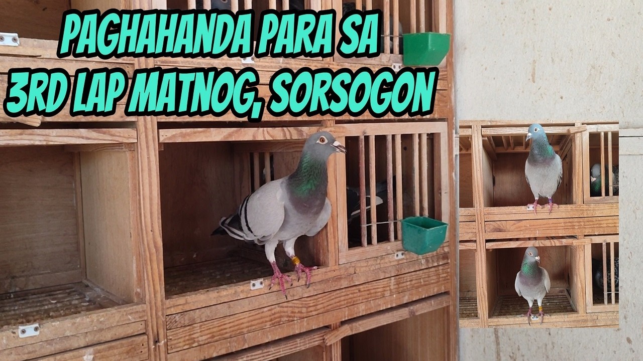 PAG HAHANDA PARA SA 23RD LPA MATNOG, SORSOGON - MID TOSS TRAINING