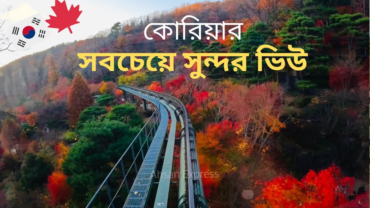 কোরিয়ার সবচেয়ে সুন্দর ভিউ।The most beautiful view of South Korea. 🇰🇷😍#southkorea #vlog