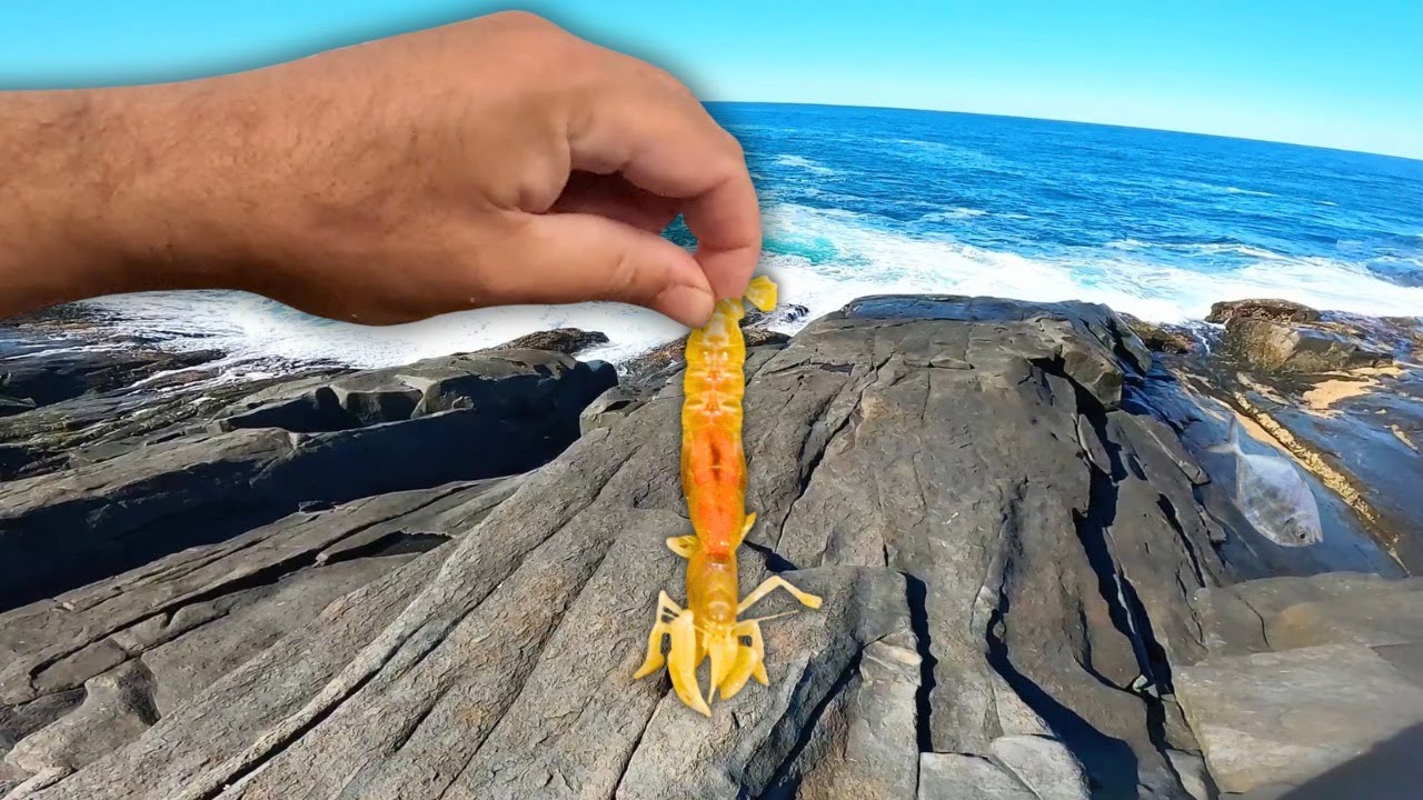 A MELHOR ISCA PARA PEGAR PAMPO NO COST&Atilde;O! Funciona Demais!