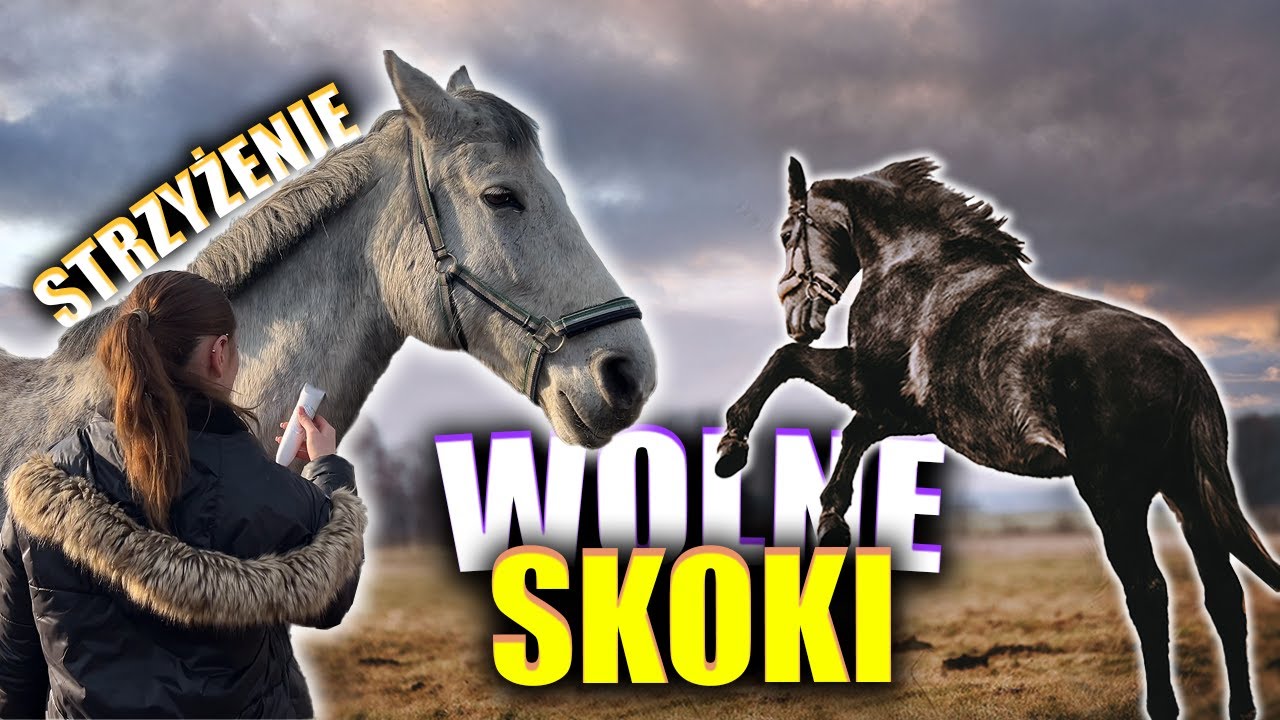 POGODA POKRZYŻOWAŁA NAM PLANY - TEREN ❌ - WOLNE SKOKI 🐴