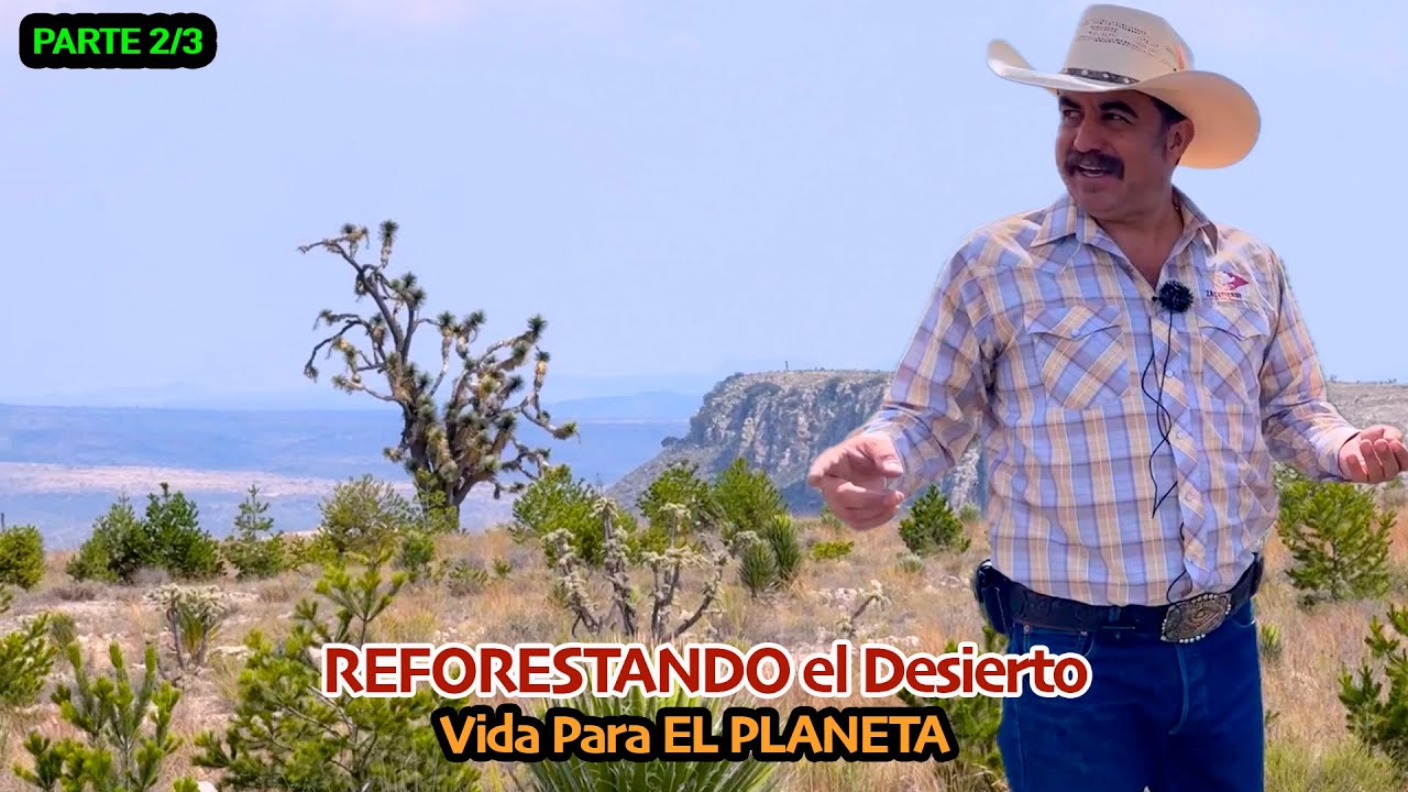 UNA GRAN HAZAÑA plantaron miles de pinos, palmas y magueyes