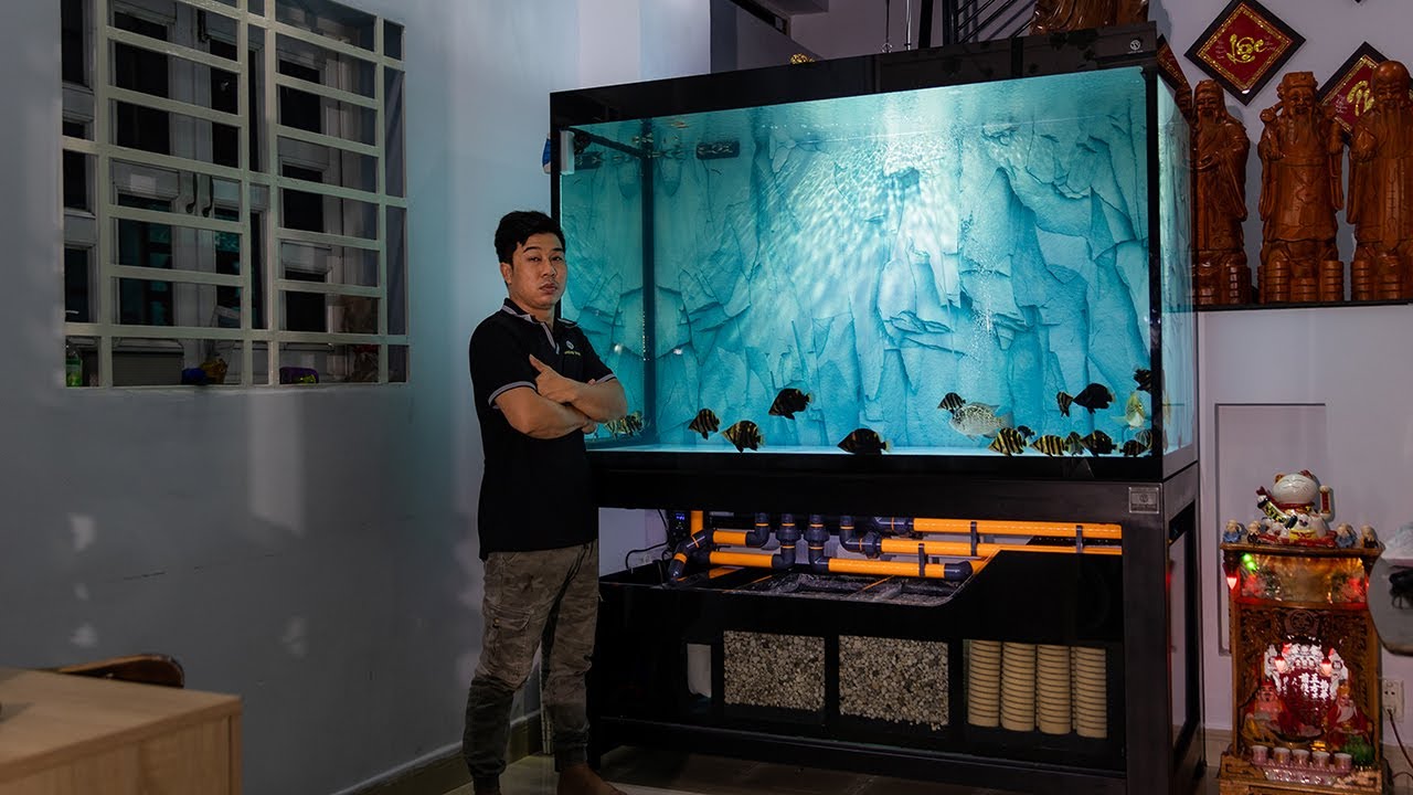 Ngắm HỒ CÔNG NGHỆ CỘT NƯỚC CAO chơi CÁ HỔ - Ống Cam Đen 