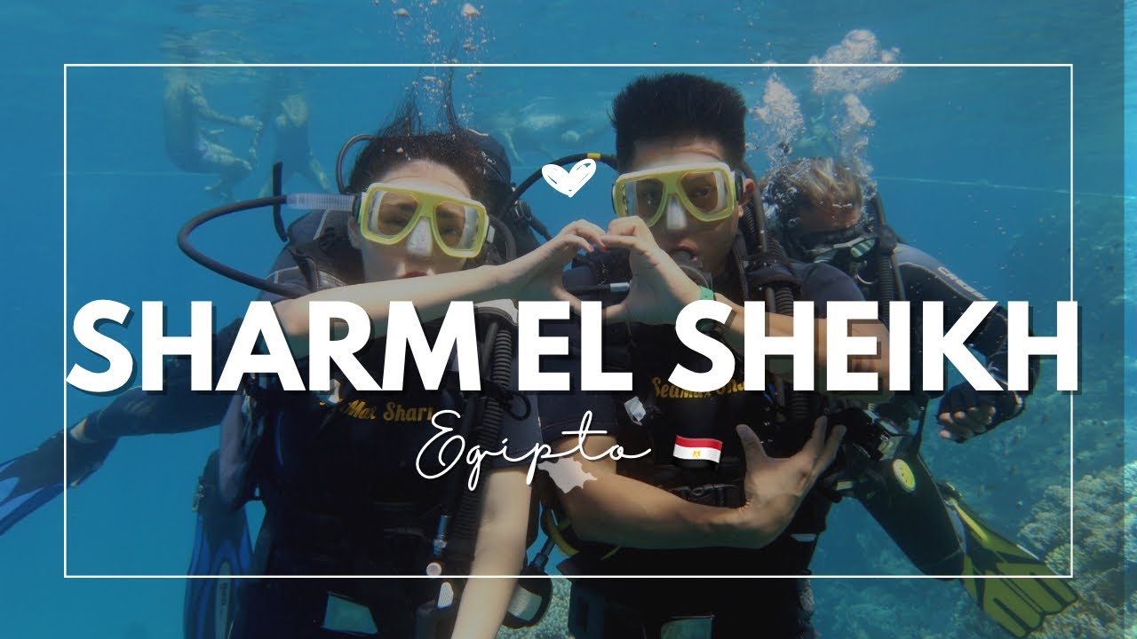 Sharm El Sheick, increíble experiencia de buceo en el mar rojo 🇪🇬