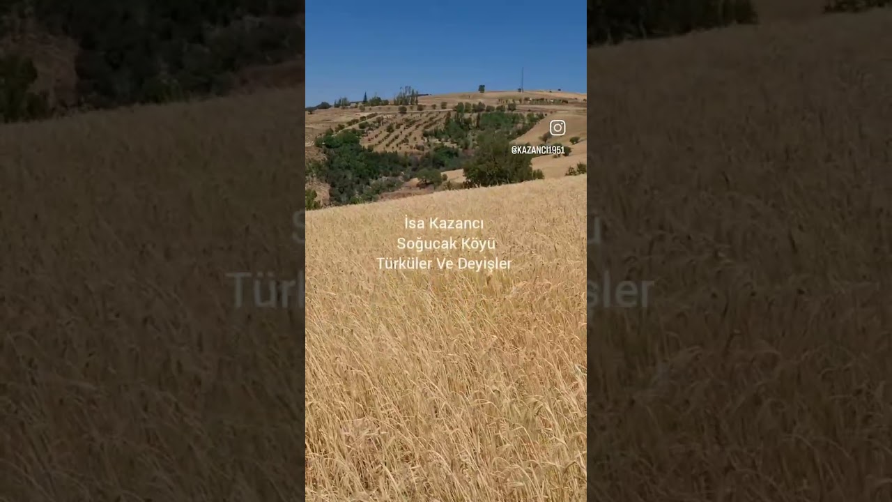 11 Şubat 2026