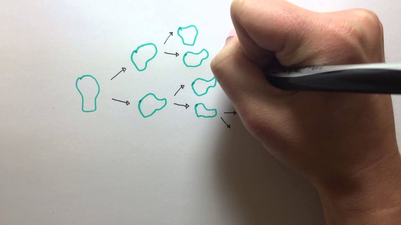Minute Genetics - Are all mutations harmful?