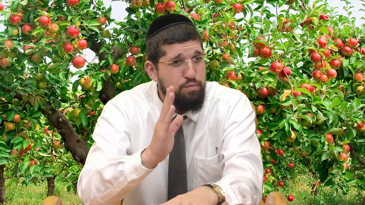 טו בשבט הרב אליהו עמר