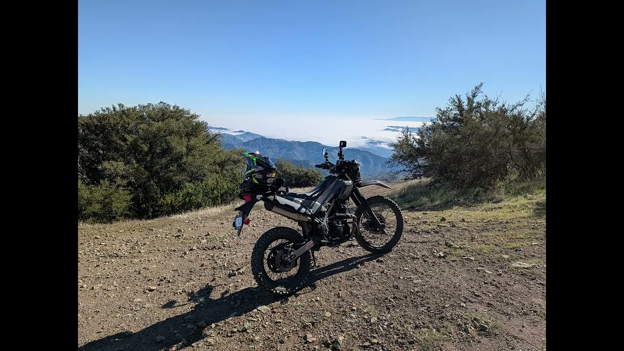Above the fog at Condon Mountian