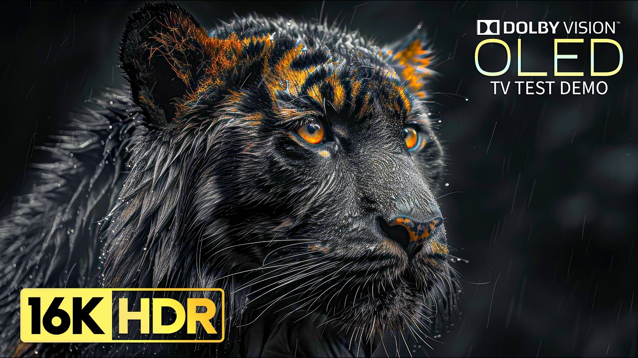 Masterpiece of HDR OLED Demo | 16K Video ULTRA HD 240 fps (8K/4K TV)