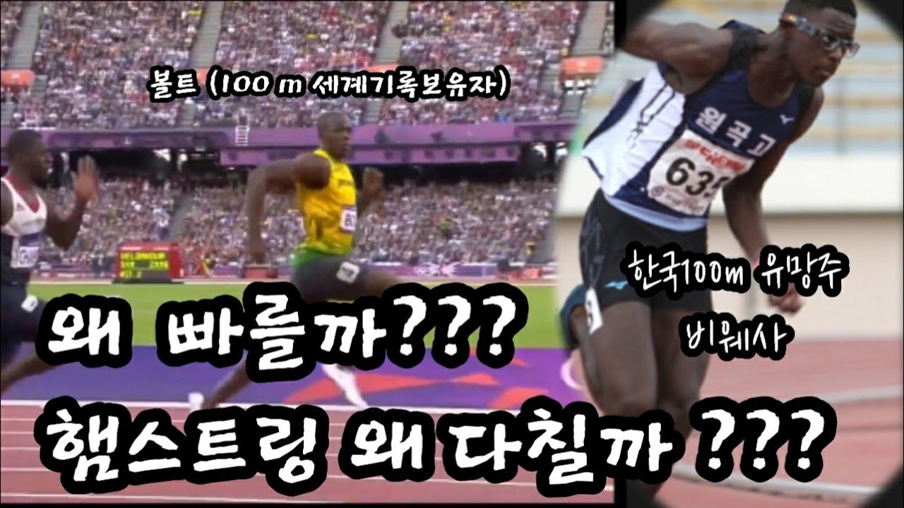 비웨사...우사인볼트..왜 빠를까??? & 왜 햄스트링 다칠까???