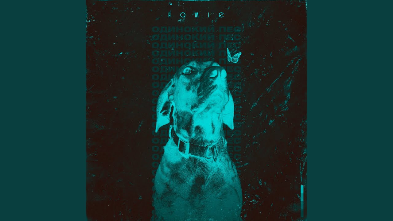 Одинокий пёс