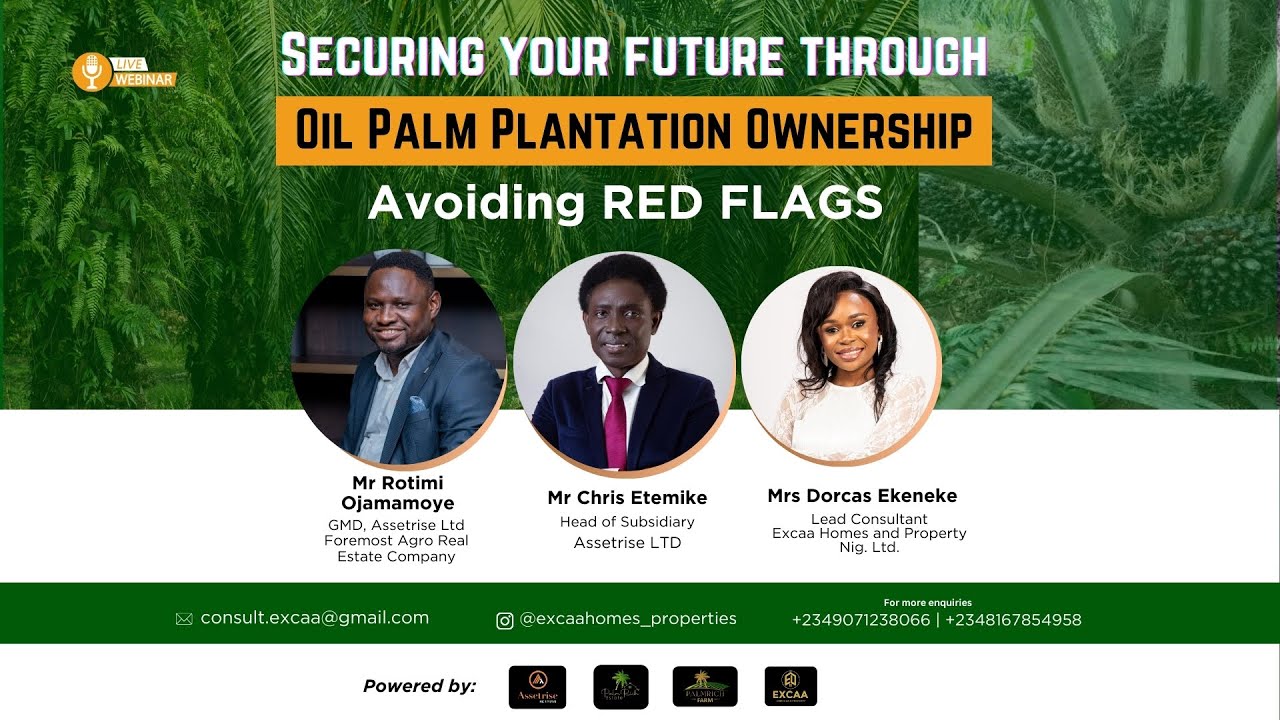 Securing Your Future Through Palm Oil Plantation Ownership -- Avoiding Red Flags