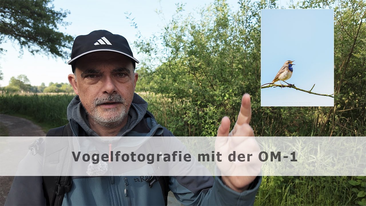 Blaukehlchen und andere Vögel mit der OM-1 und dem Olympus 300mm 4.0 Pro