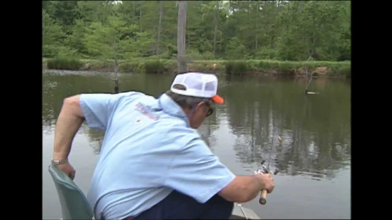 Shooting Bait & Aspirin