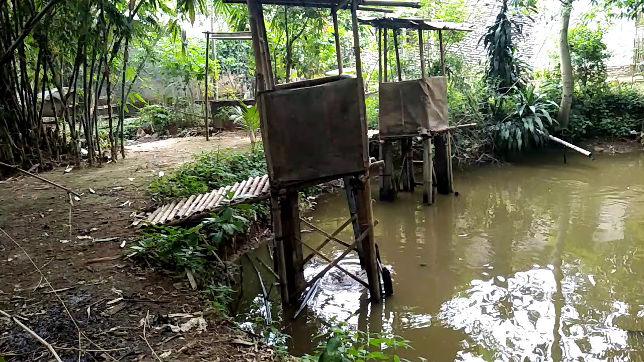 berak di jamban Gan