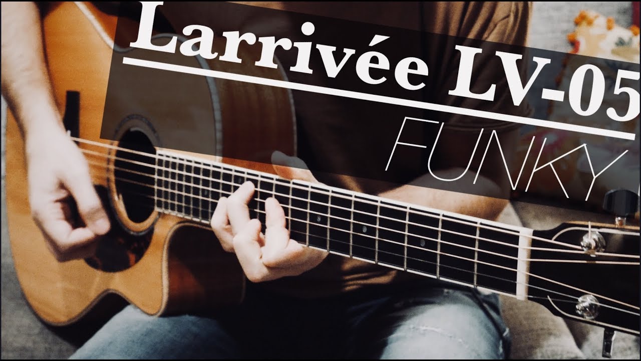 Larrivée LV-05 - funky