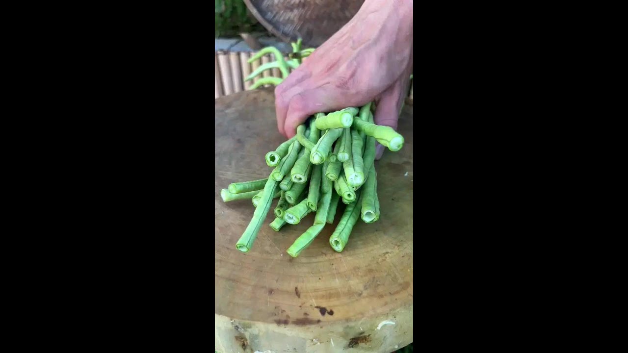 Cutting beans 