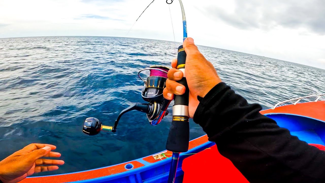 INI BARU REEL SPEK SULTAN DAIWA SALTIGA 6000