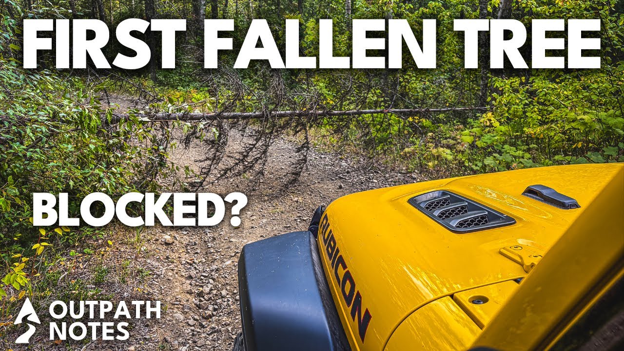 Merritt to Kelowna - Fallen Tree Blocks the Trail