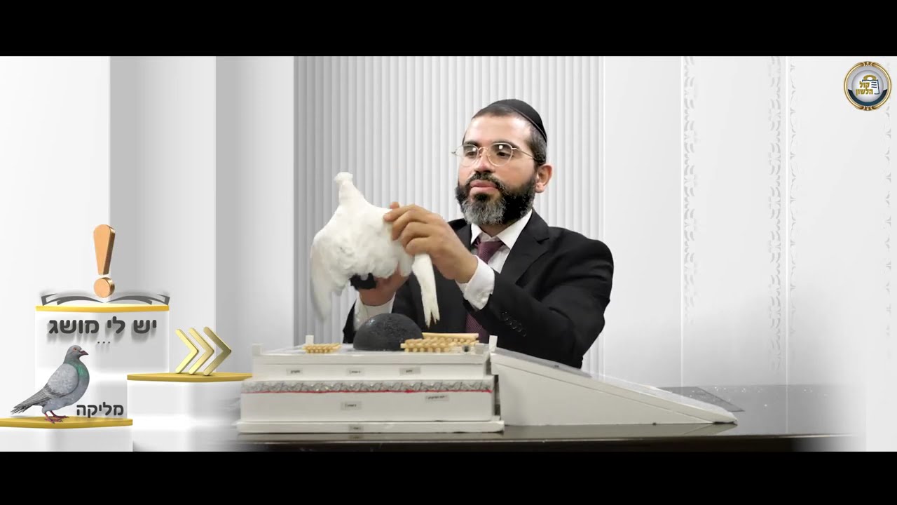 🕊️מליקה: איך הקריבו עוף בבית המקדש? - יש לי מושג ביהדות! 9 | הסבר+המחשה וידיאו 🔍🎬| הרב מאיר אור שרגא