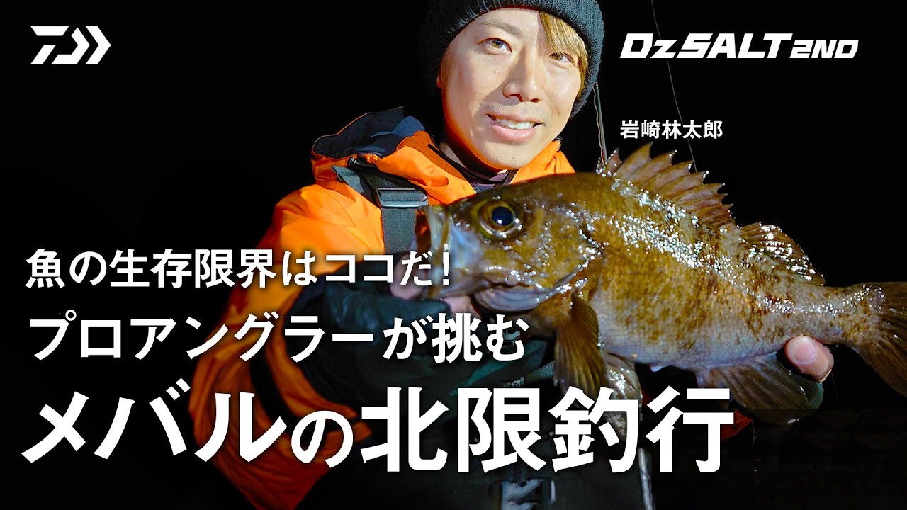 [Dz SALT 2ND]プロアングラーが挑む メバルの北限釣行 岩崎林太郎