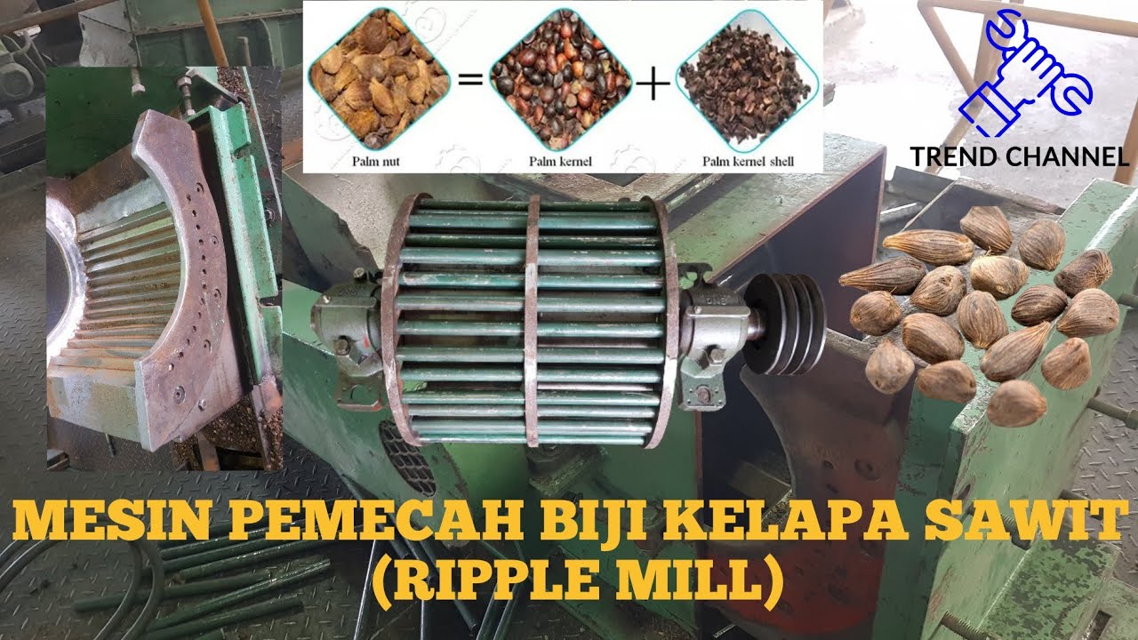 Mesin pemecah biji sawit (Ripple Mill).
