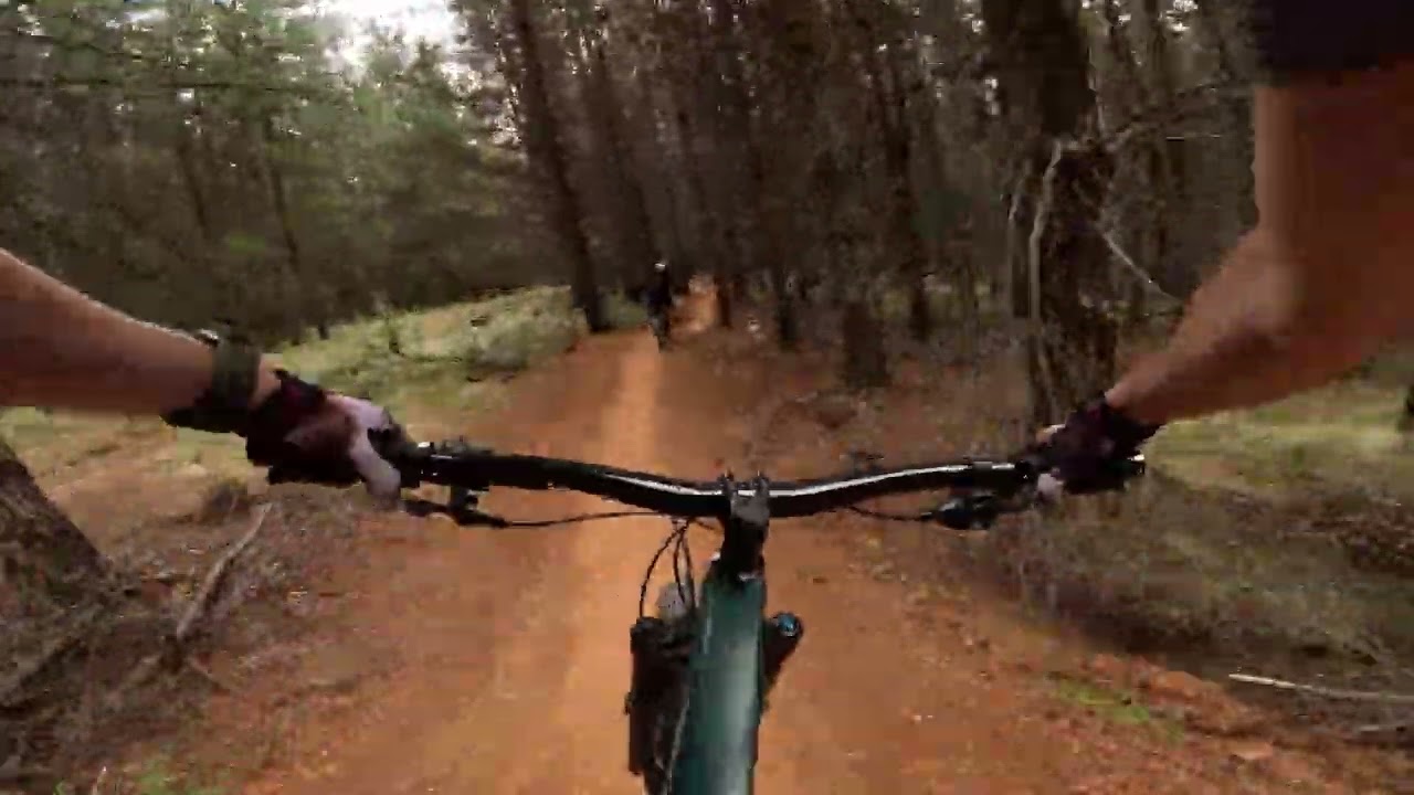 Trail of Awesomeness Orange MTB
