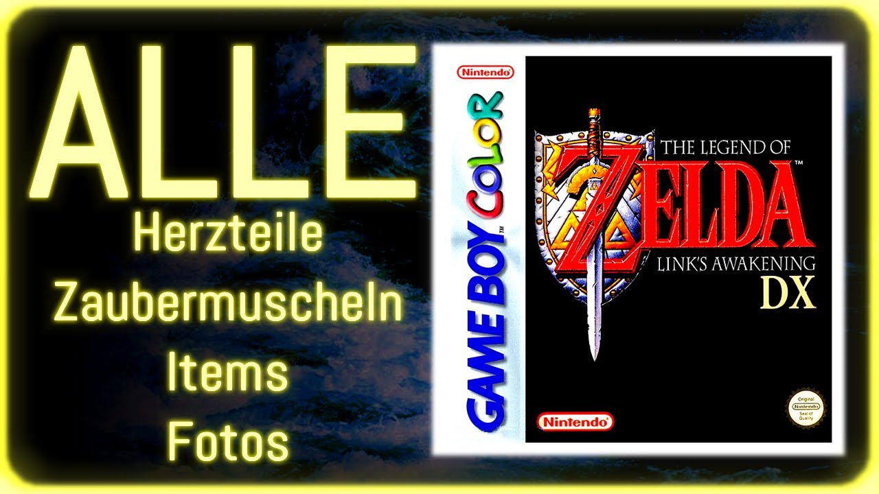 Der PERFEKTE Link's Awakening Spielstand!