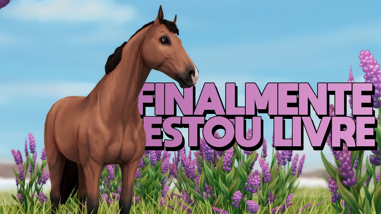 FINALMENTE ESTOU LIVRE (e feliz)