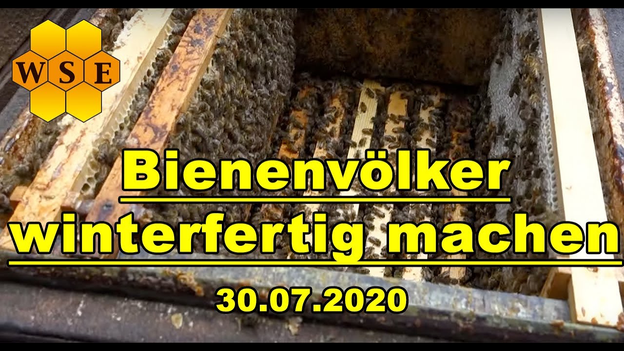 Bienenvölker winterfertig machen