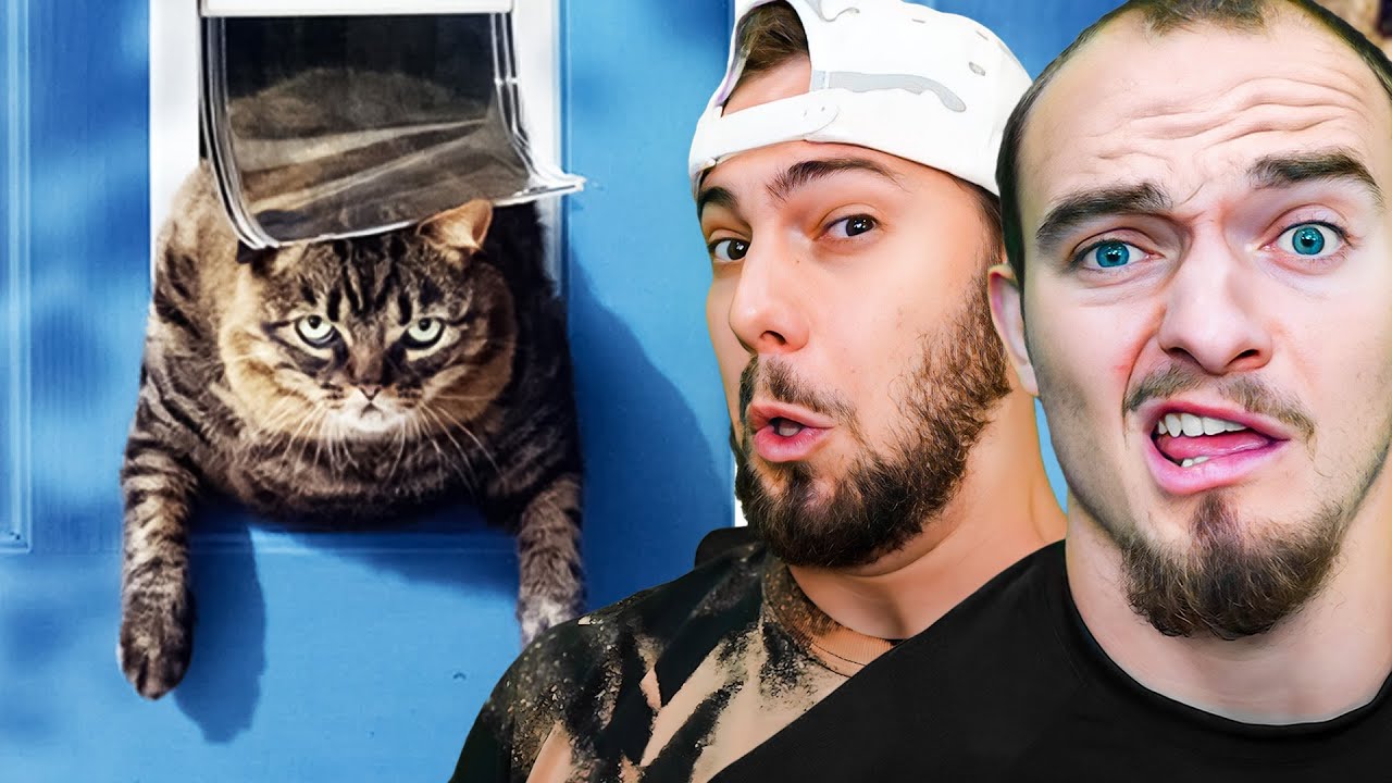 Dumbest Animals In The World
