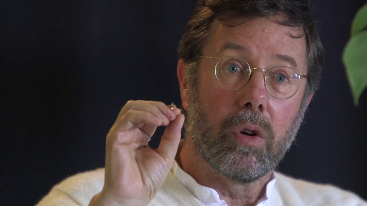 Reclaiming the Inner Worlds - Discussion and Questions with Llewellyn Vaughan-Lee