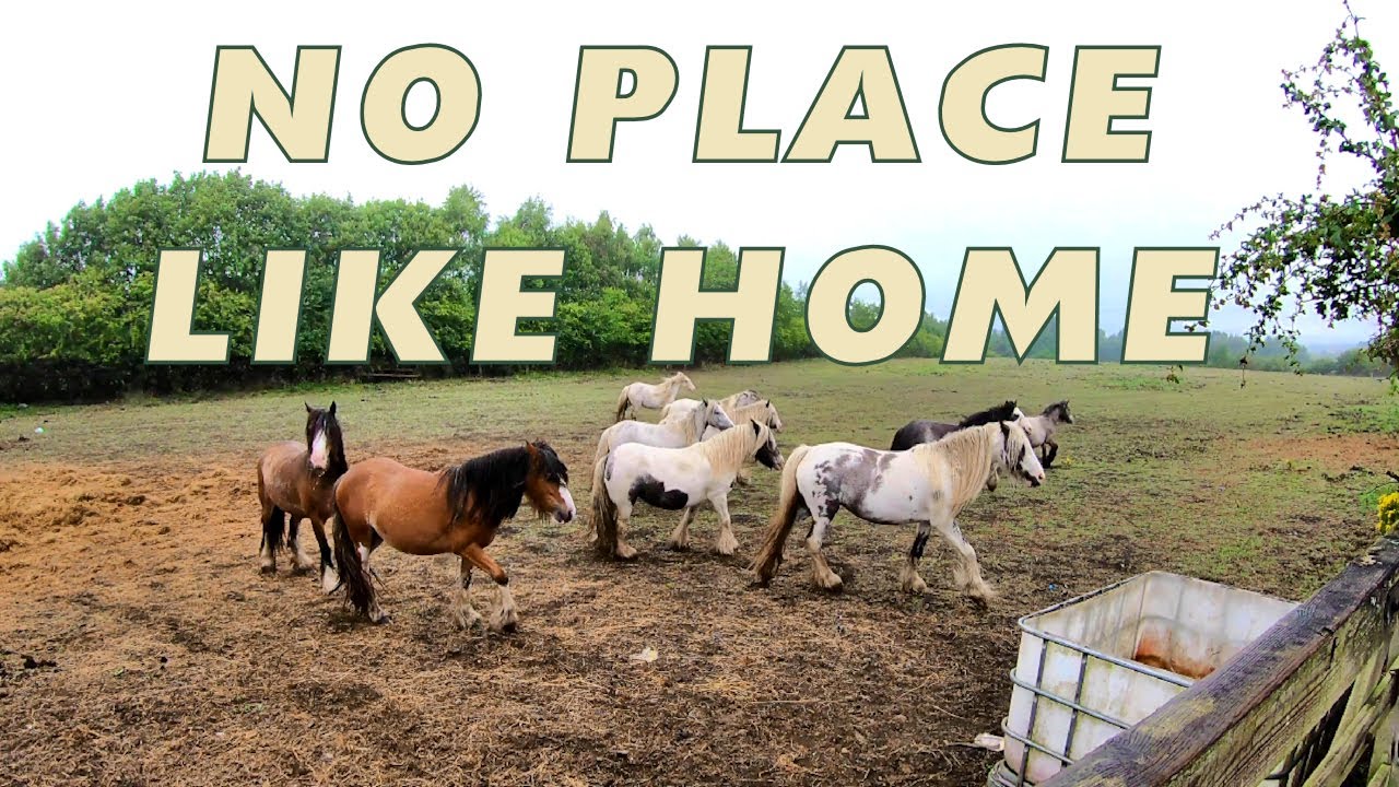No Place like home 4K